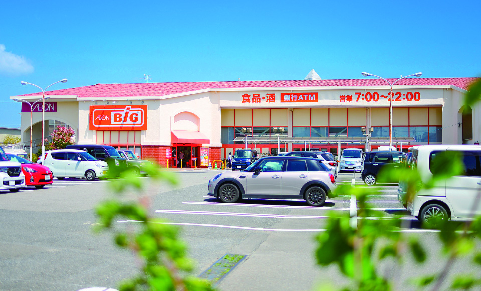 ザ・ビック静岡豊田店
